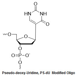 Bio-Synthesis Inc. Oligo Structure